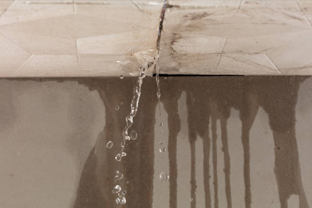 Professional Structural Drying technician working in Van Buren, AR